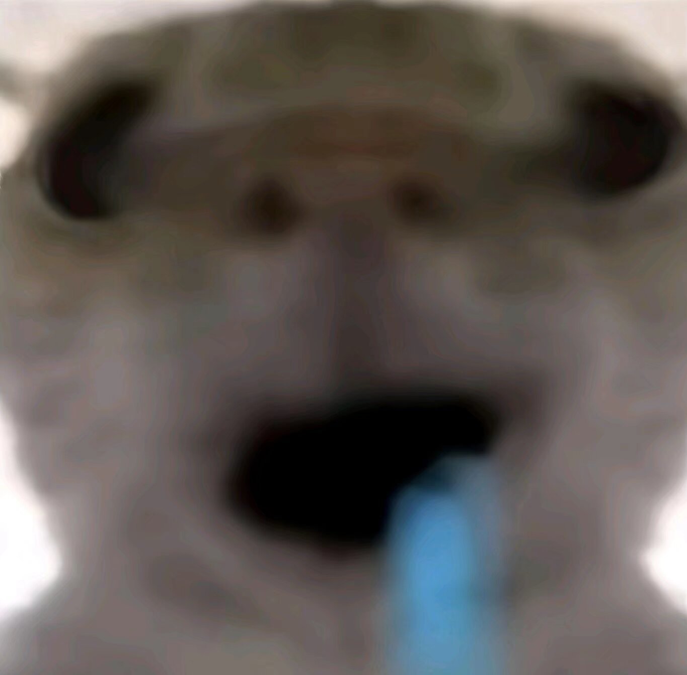 三角洲鼠鼠表情包-猛攻鼠鼠表情包