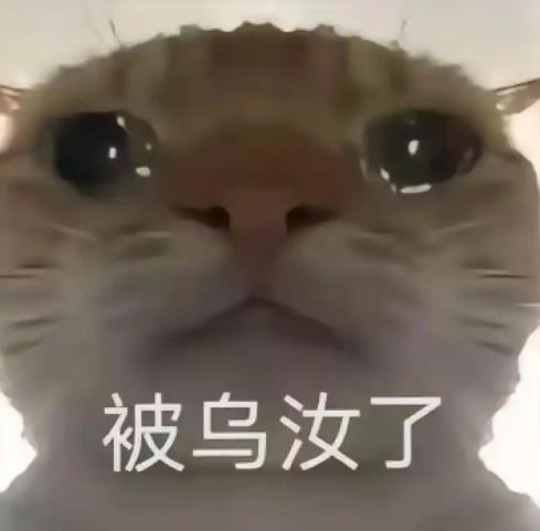 三角洲鼠鼠表情包-猛攻鼠鼠表情包