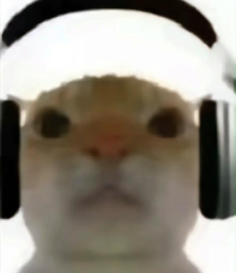 三角洲鼠鼠表情包-猛攻鼠鼠表情包