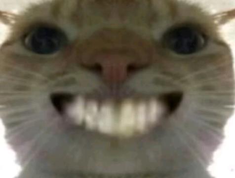 三角洲鼠鼠表情包-猛攻鼠鼠表情包