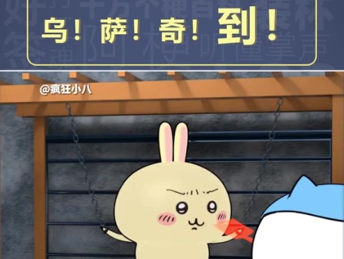 乌萨奇表情包-乌萨奇到表情包大全