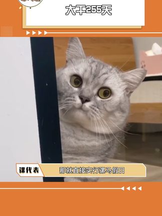 骡马假日网络解释