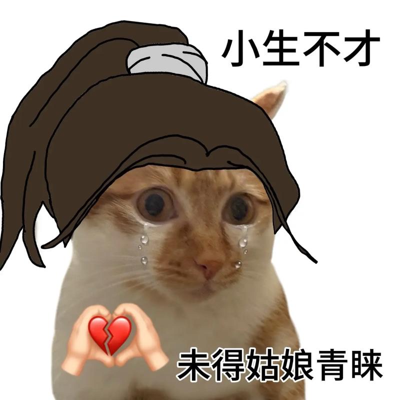 古风小生表情包大全